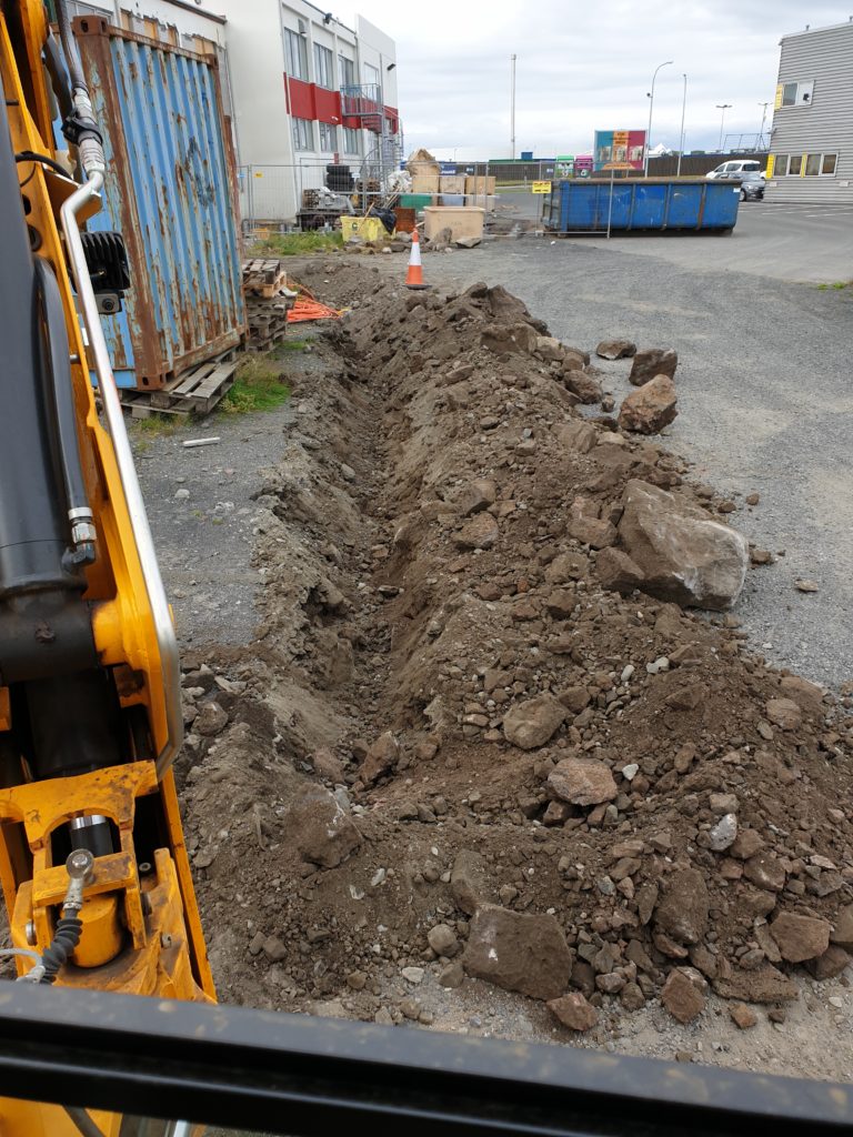 2019 image 5
