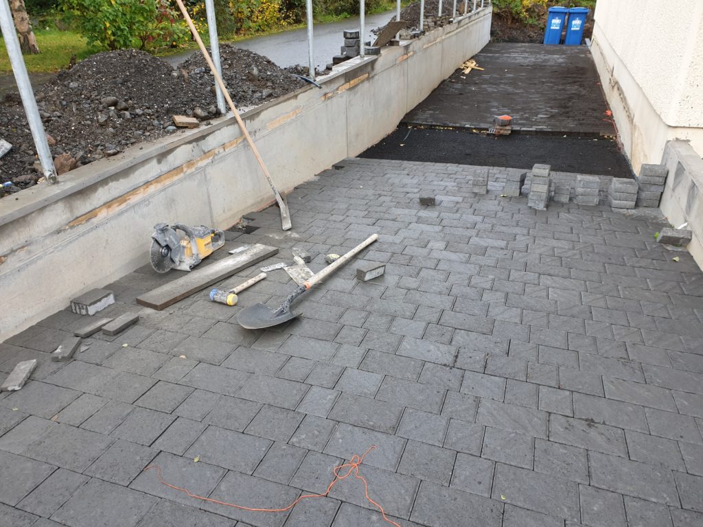 2019 image 6