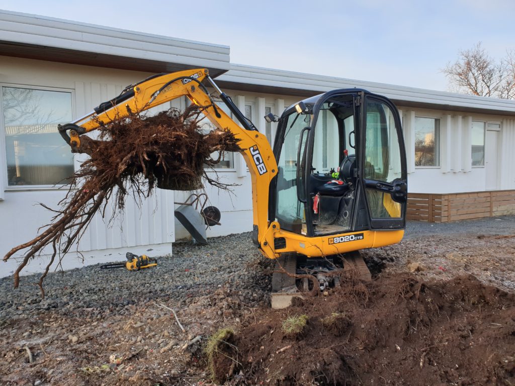 2019 image 7