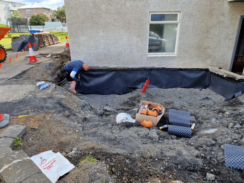Dren í Rauðalæk image 6