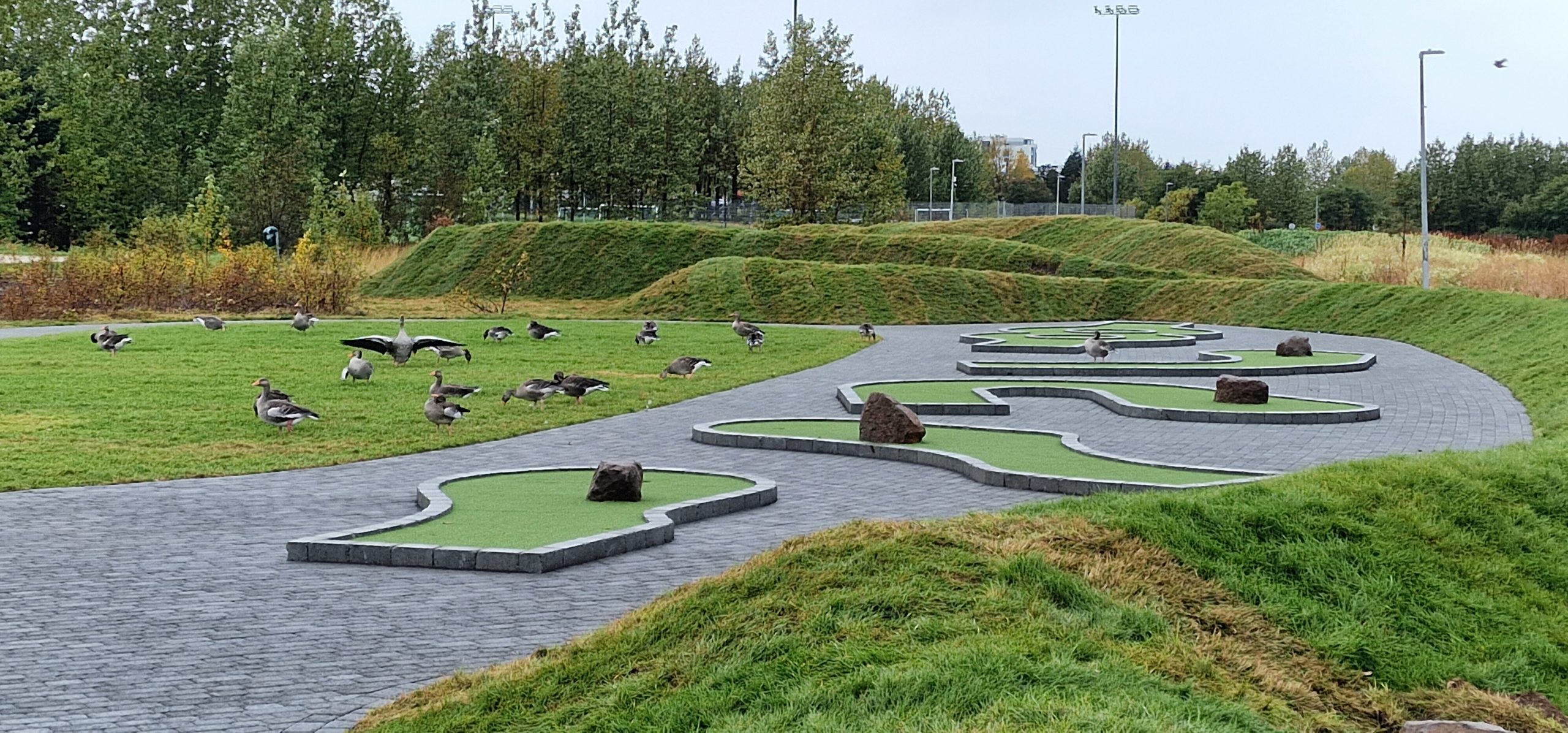 Vogaklettur project